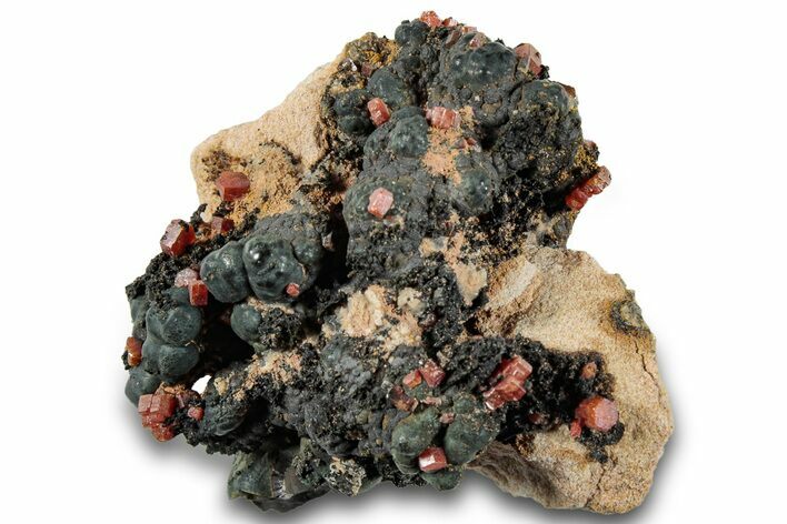 Small Red Vanadinite Crystals on Manganese Oxide - Morocco #292892